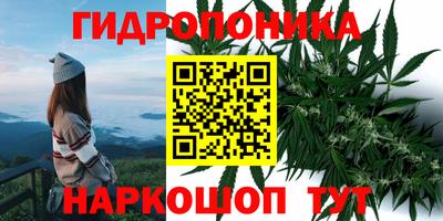 jwh Боровичи