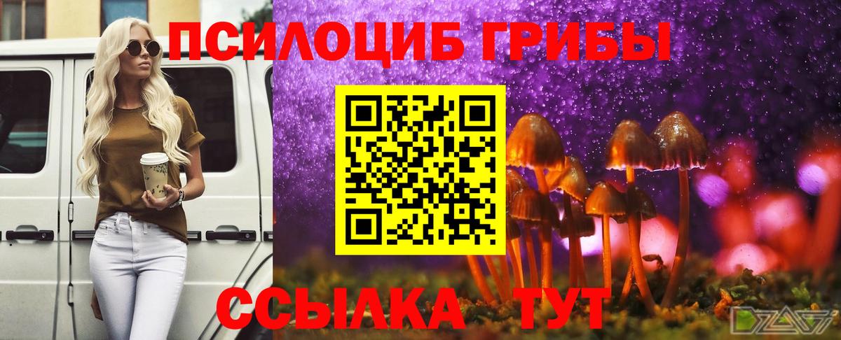 Артёмовский  Псилоцибиновые грибы Magic Shrooms  Вход с VPN 